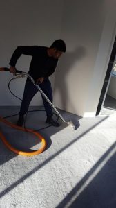 Cheap Carpet Steam Cleaners Melbourne - Professional Domestic Cleaning ...