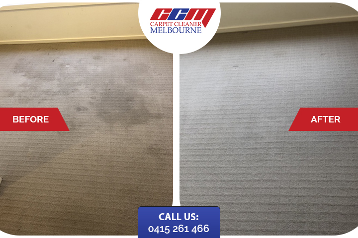 Cheap Carpet Steam Cleaners Melbourne - Professional Domestic Cleaning ...