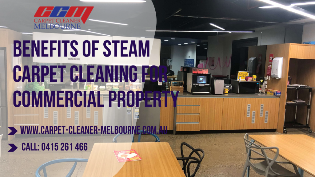 Benefits of Steam Carpet Cleaning for Commercial Property - CARPET ...